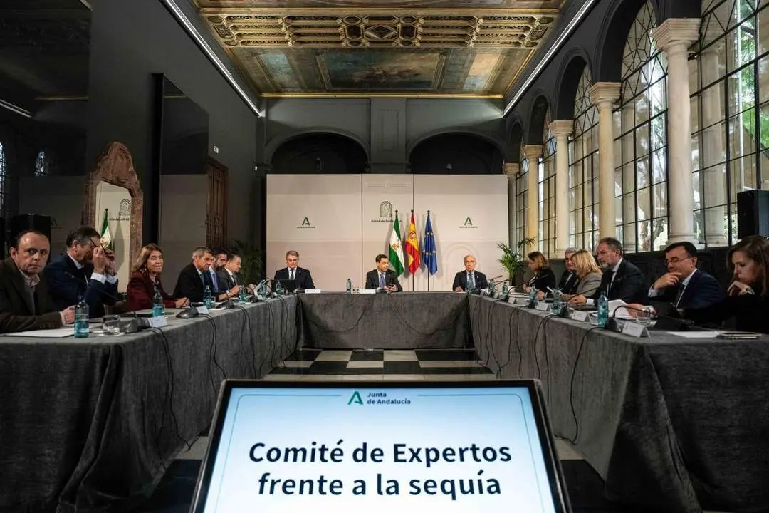 Reuni&oacute;n del Comit&eacute; de Expertos de la Sequ&iacute;a. - AI