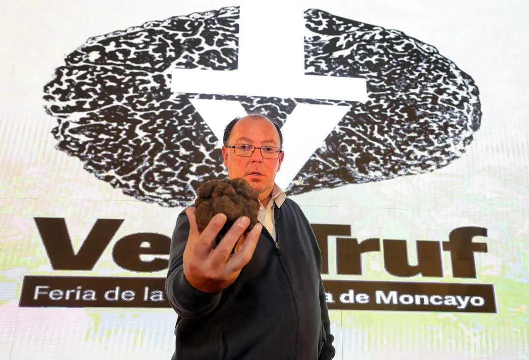 La trufa m&aacute;s grande de VeraTruf 2024. - EP