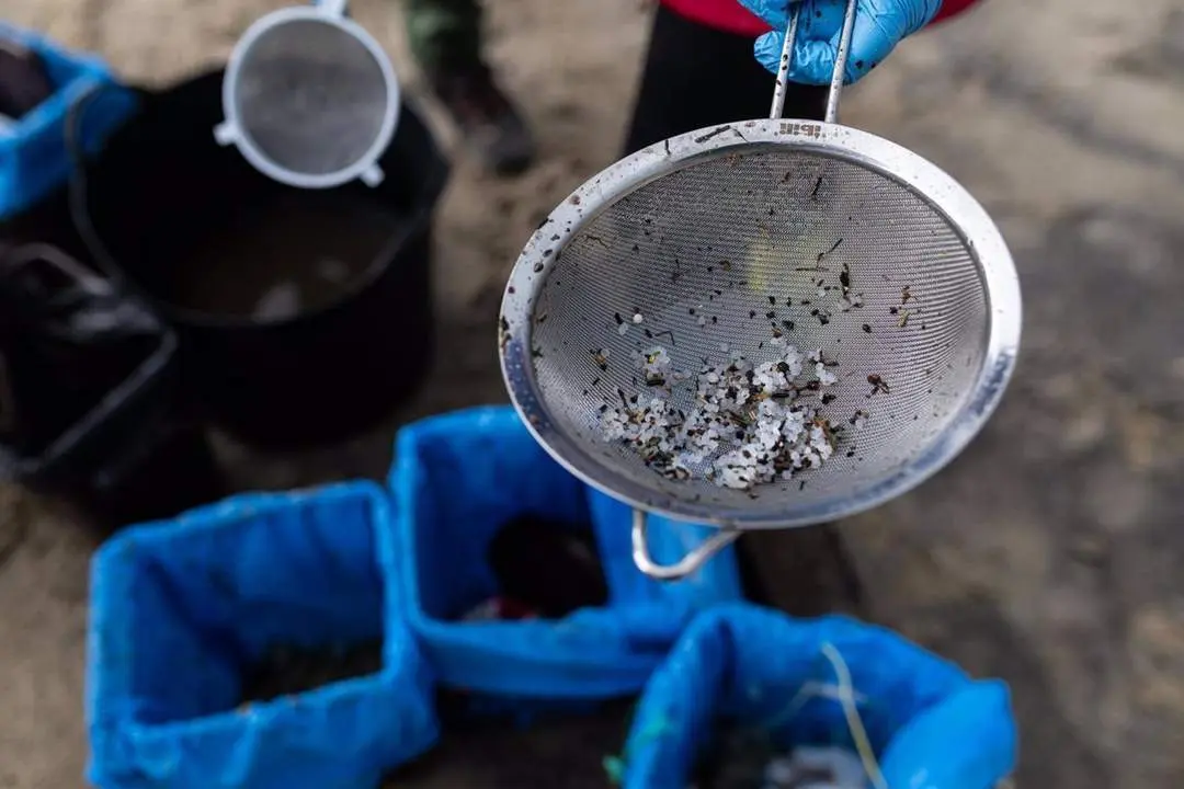 Imagen de p&eacute;lets encontrados en la playa Bos, en Noia, A Coru&ntilde;a - Elena Fern&aacute;ndez - Europa Press