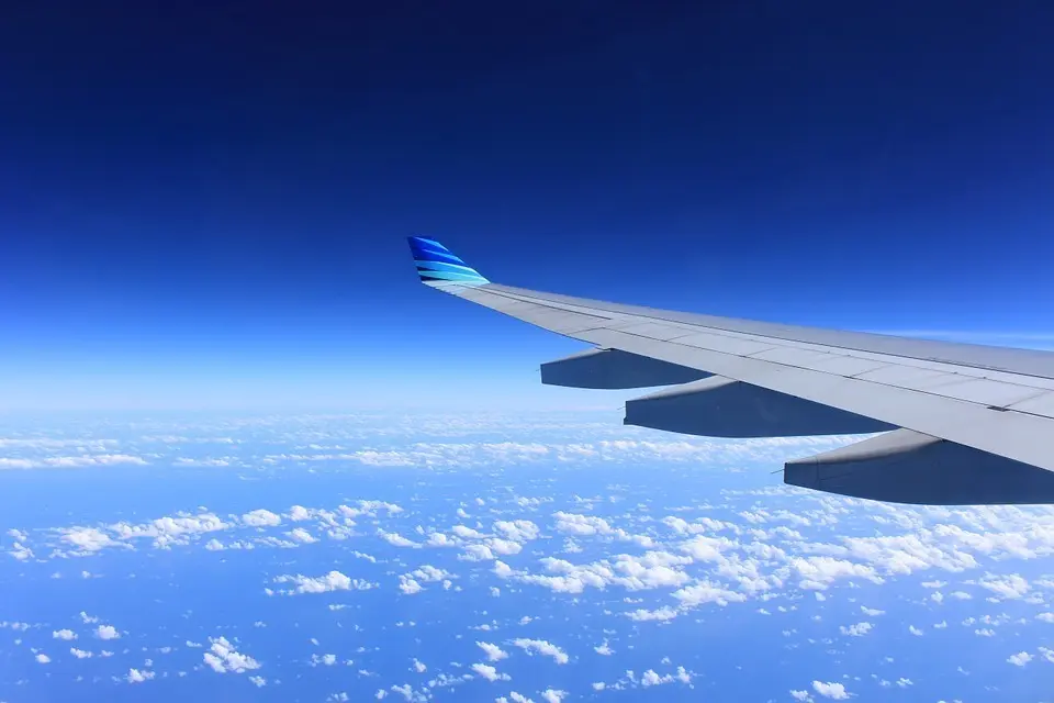 Vuelo. - 