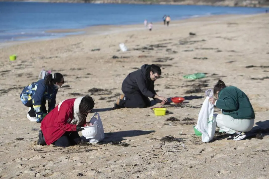 Voluntarios recogen micropl&aacute;sticos en las R&iacute;as Bajas. - EFE