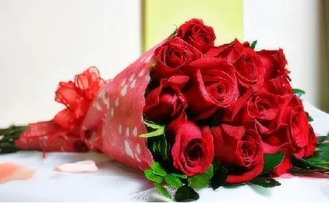 Rosas - Viva