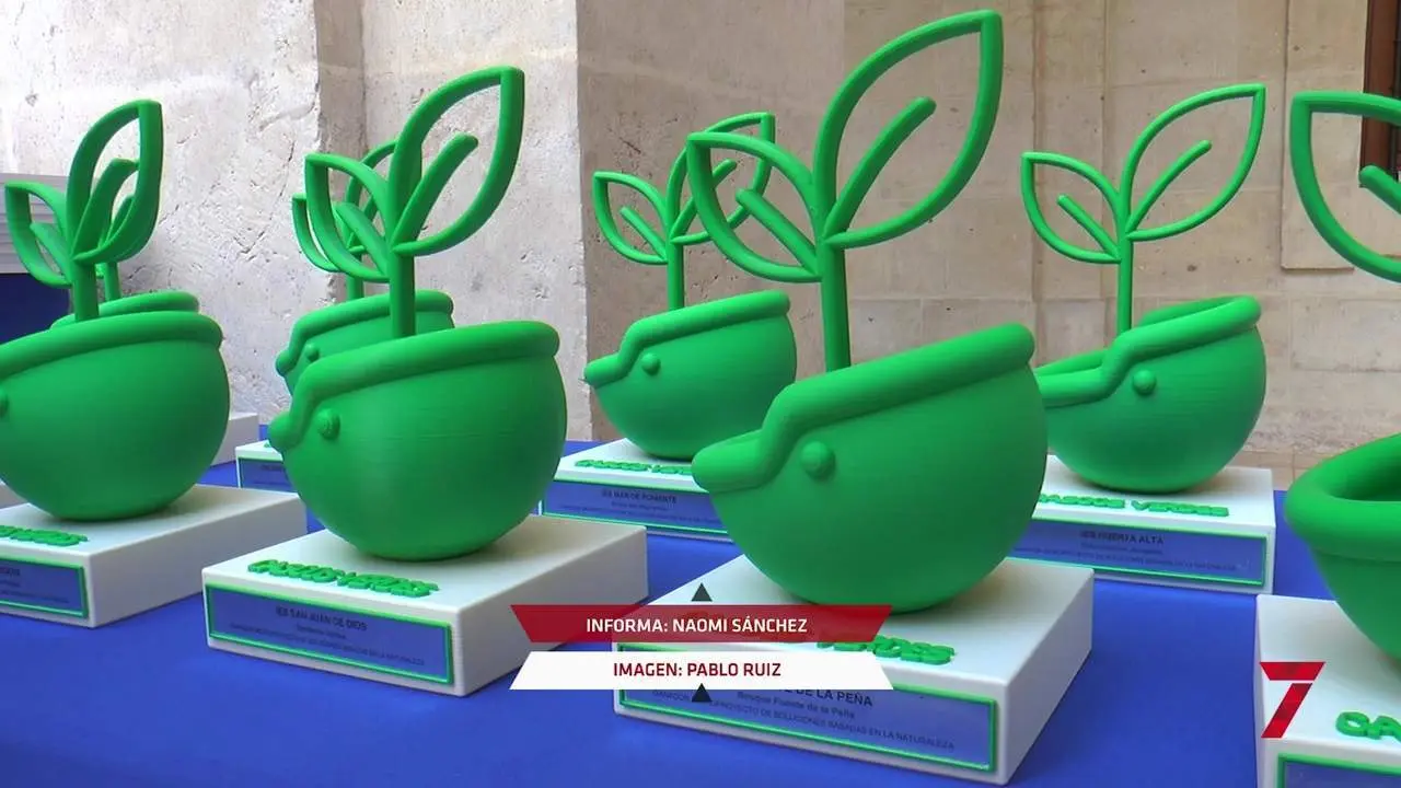 Donuts biodegradables para salvar los bosques andaluces
