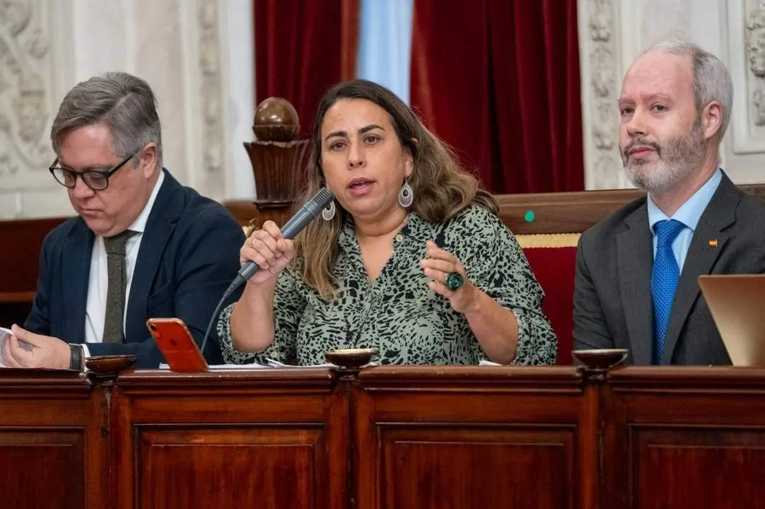 La concejala del PSOE de C&aacute;diz Natalia &Aacute;lvarez. - VIVA
