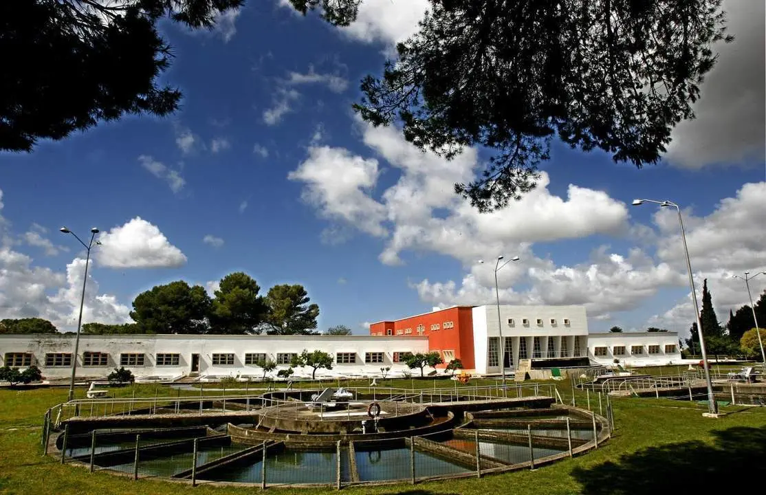 Las instalaciones del Consorcio en Cuartillos - CAZG