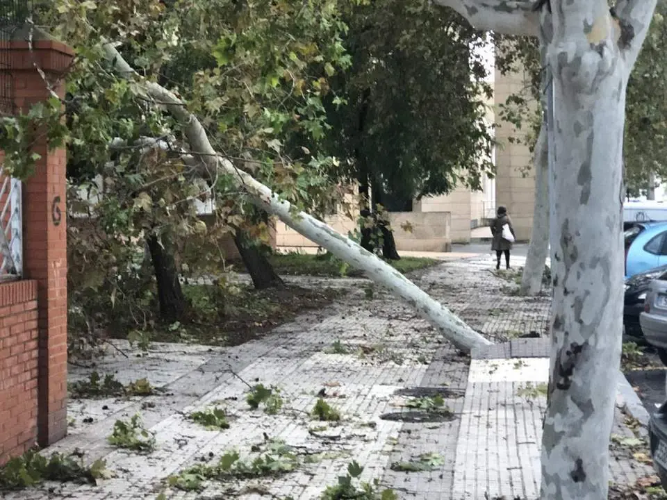 Huelva el d&iacute;a despu&eacute;s de la borrasca Bernard. - VGPALACIOS
