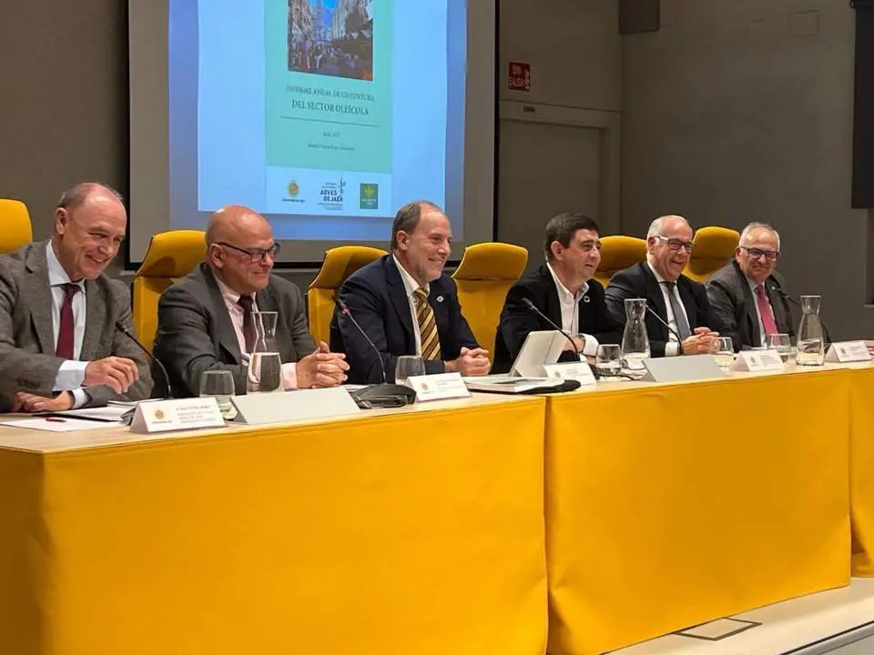 Presentaci&oacute;n del informe este lunes.  - Diputaci&oacute;n de Ja&eacute;n