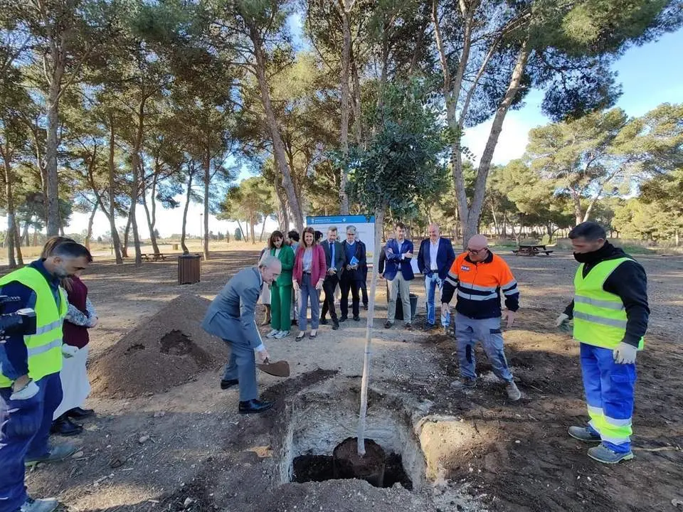 Francisco de la Torre plantando un &aacute;rbol en el Campamento Ben&iacute;tez. - ROCA