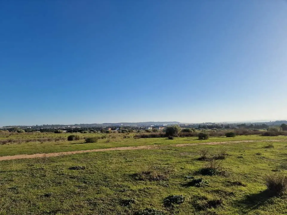Terrenos de La Florida.  - Viva. 