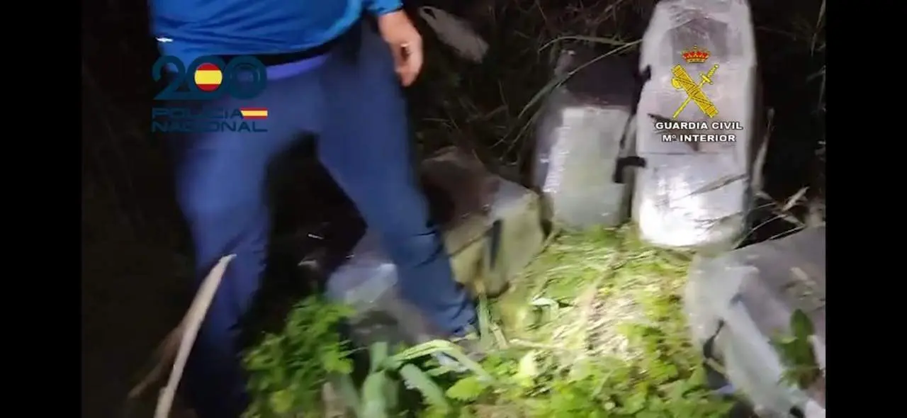 Incautaci&oacute;n de coca&iacute;na en Algeciras. - AI