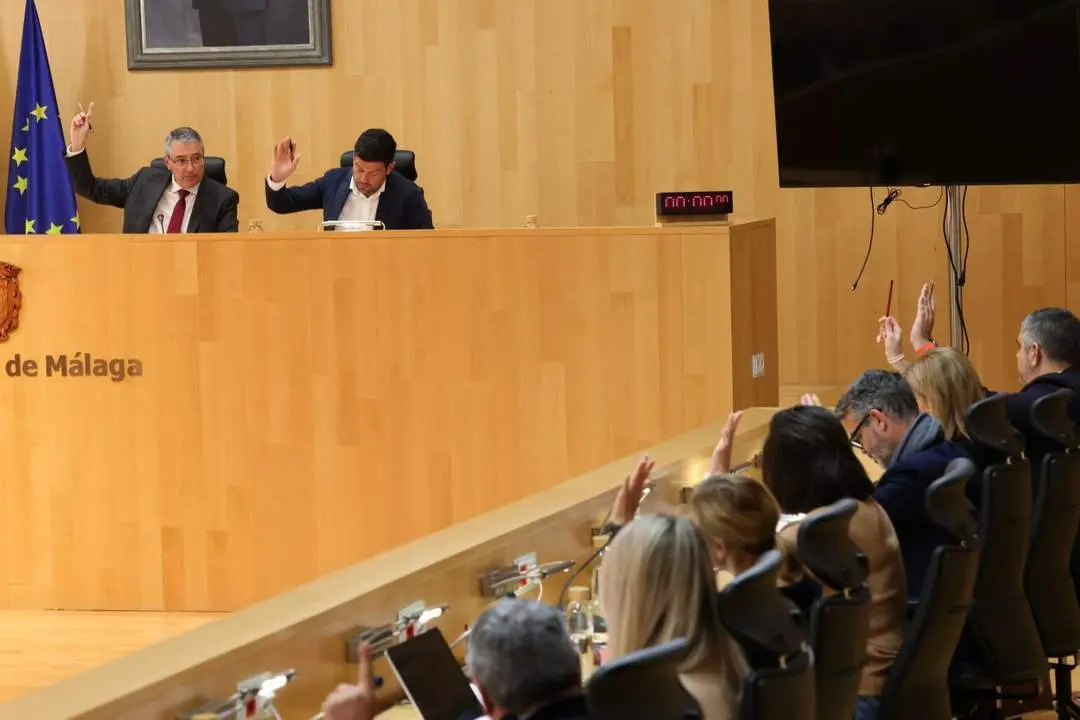 Votaci&oacute;n en el pleno. - Diputaci&oacute;n