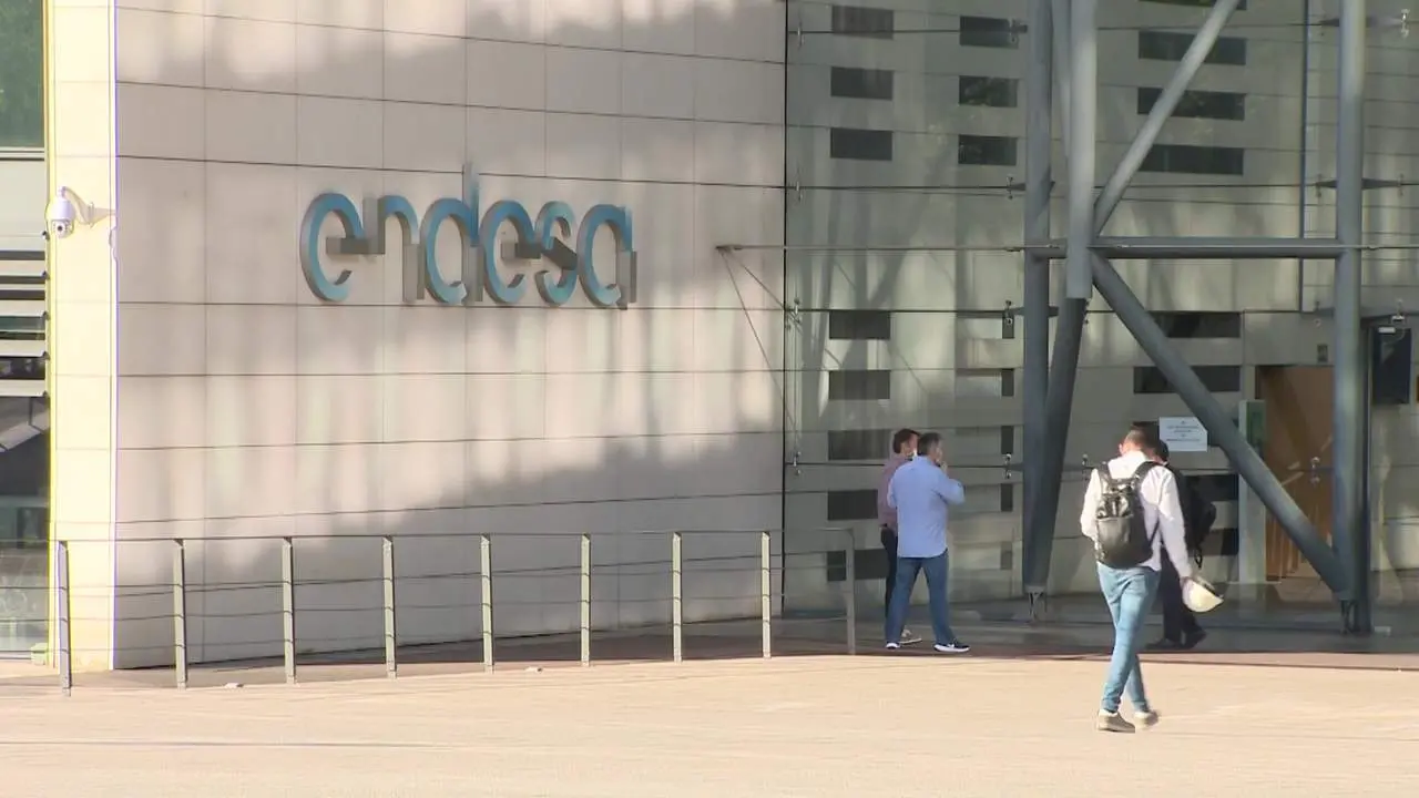 Caen en picado las ganancias de Endesa