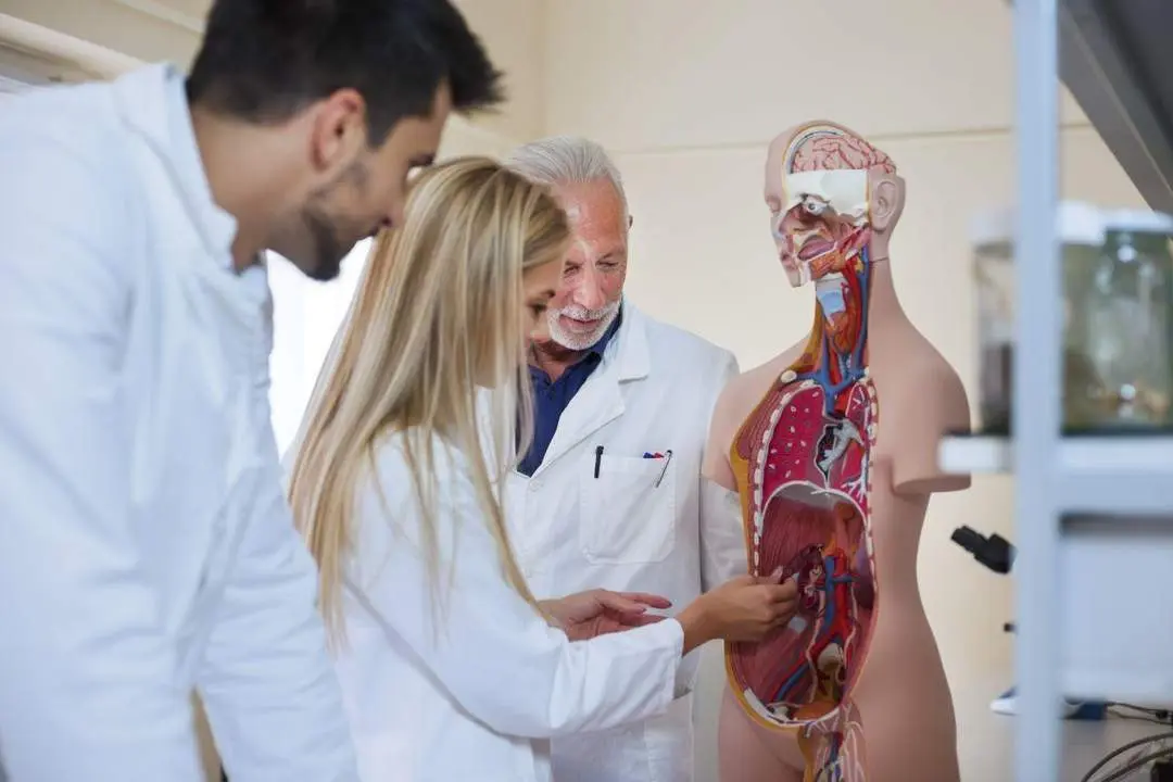 Alumnos del Grado de Medicina, en una clase. - UAX
