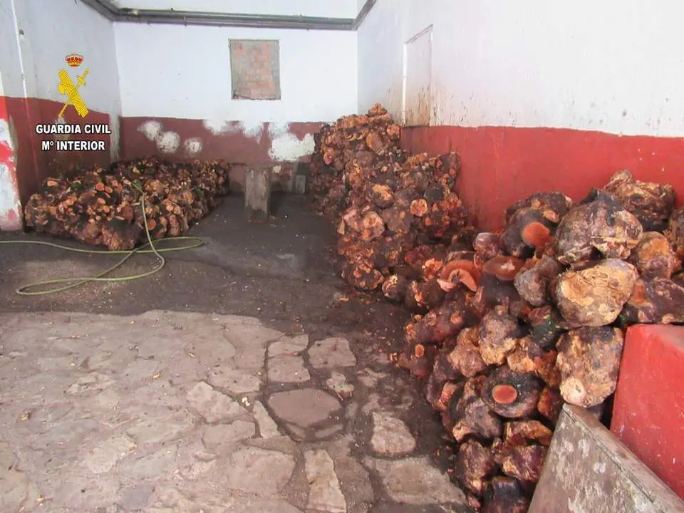 Material intervenido en Jimena. - A. I.