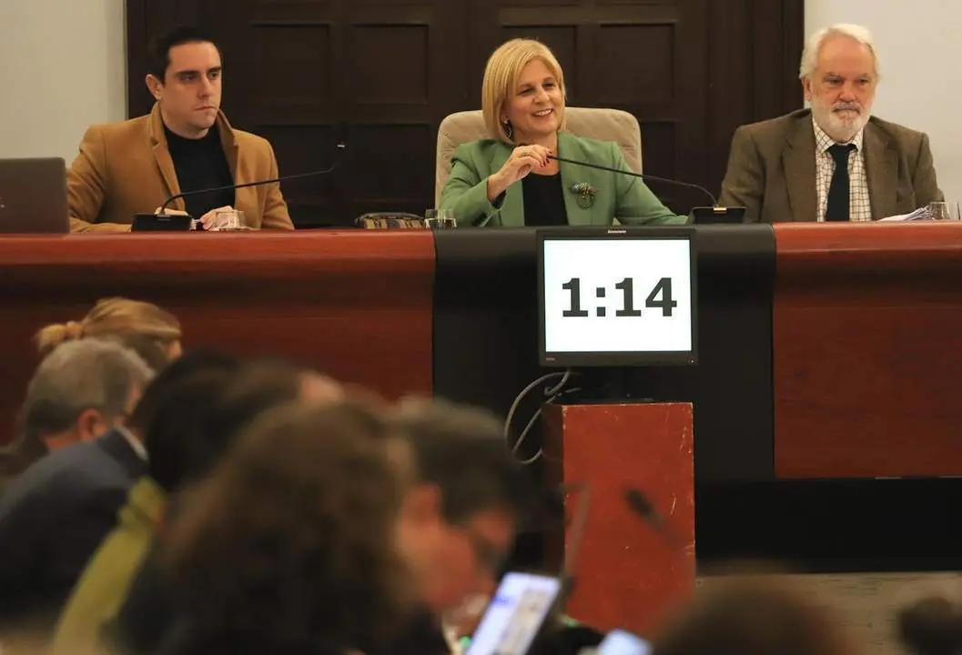 Garc&iacute;a-Pelayo, presidiendo una sesi&oacute;n plenaria.  - Andaluc&iacute;a Informaci&oacute;n