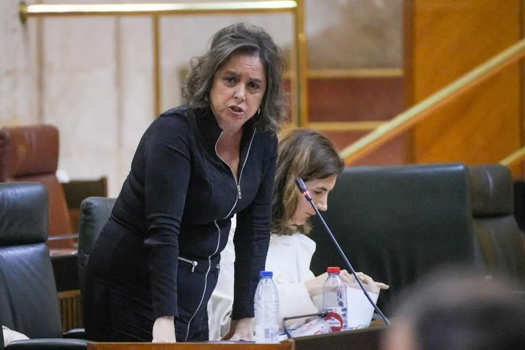 La consejera de Salud y Consumo, Catalina Garc&iacute;a. - EP