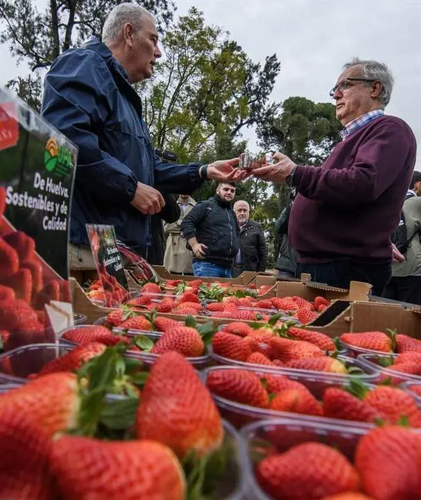 UPA entrega fresas de Huelva en Sevilla - Ra&uacute;l Caro - EFE