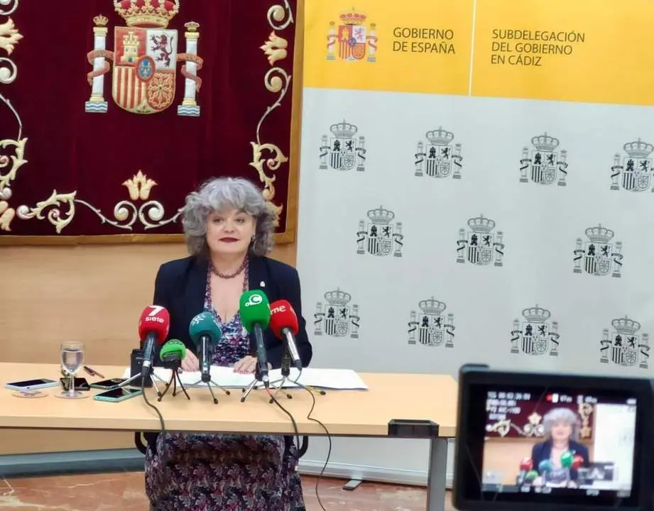 Blanca Flores, subdelegada del Gobierno, en rueda de prensa. - VIVA