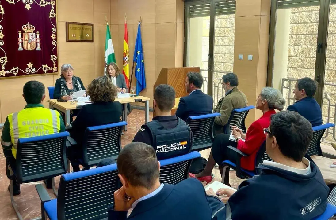 Reuni&oacute;n de coordinaci&oacute;n.  - A.I.
