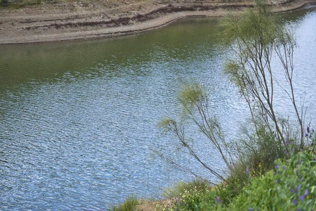 Detalle del embalse de la Minilla. - EP