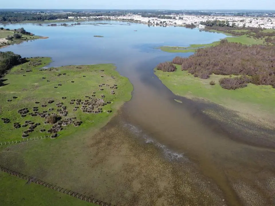 Marisma de Do&ntilde;ana. - CSIC