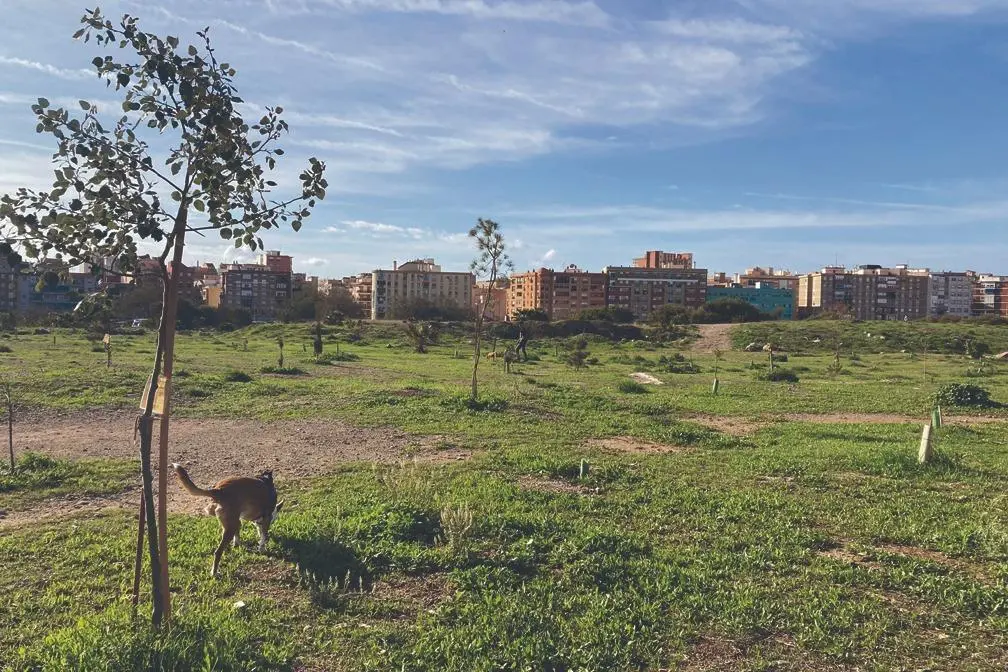 Imagen de archivo de la zona de las antiguos terrenos de Repsol. - BUM