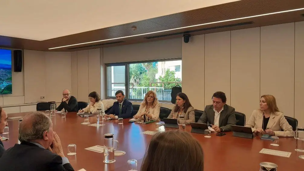 Reuni&oacute;n entre representantes de la AGI y de la Junta de Andaluc&iacute;a. - AI