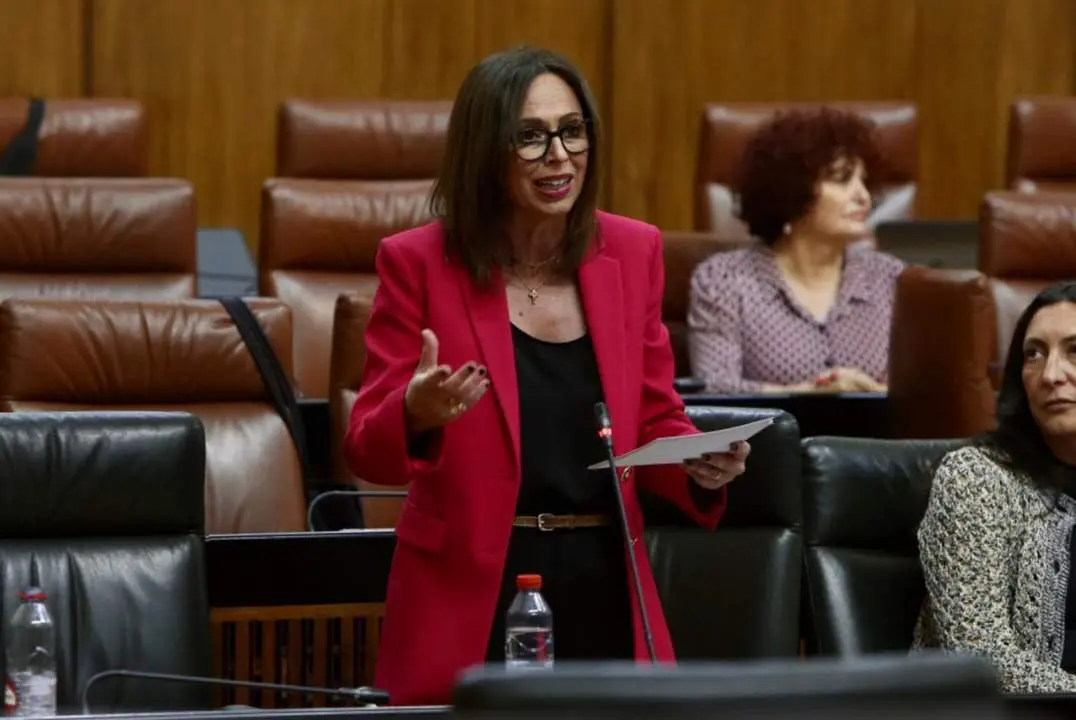 La consejera en el Parlamento. - VH