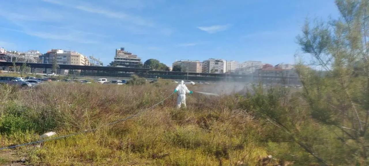 Tratamiento contra mosquitos. - VH