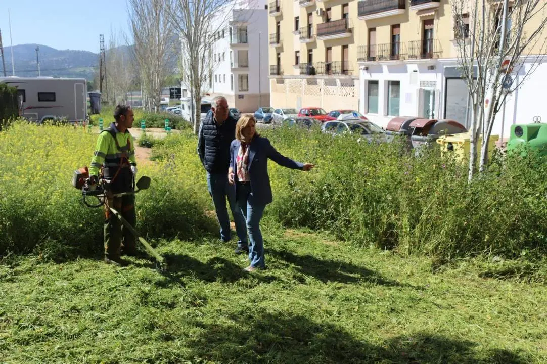 Labores de desbroce en la zona de la UE-19. - 