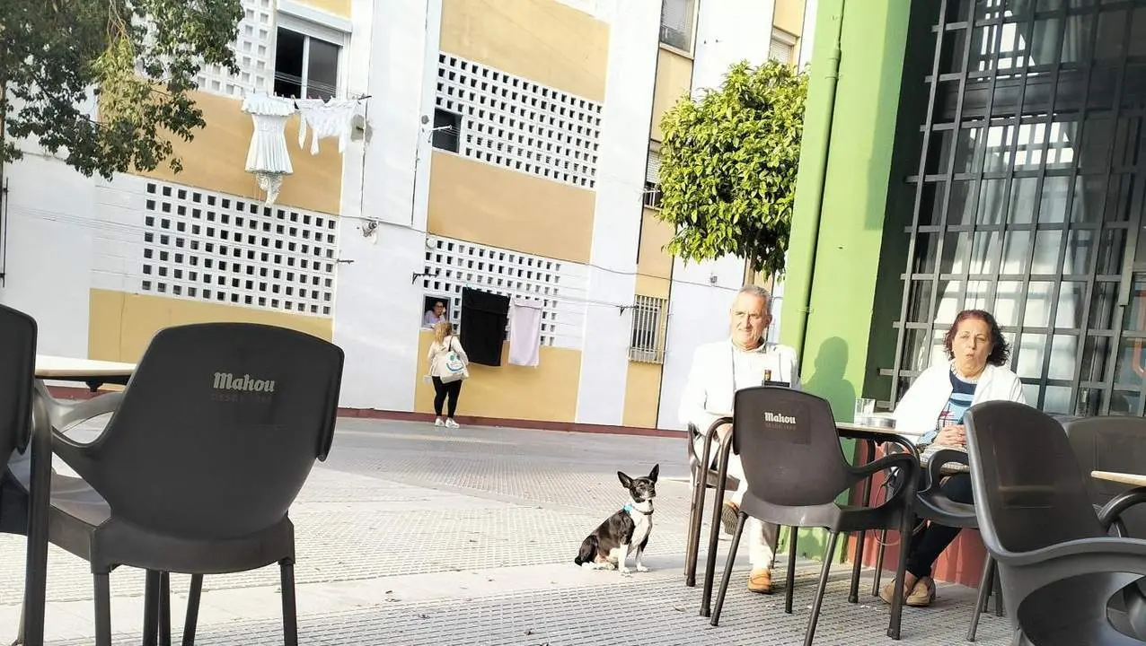 BODEGUITA La Orden. - Andi
