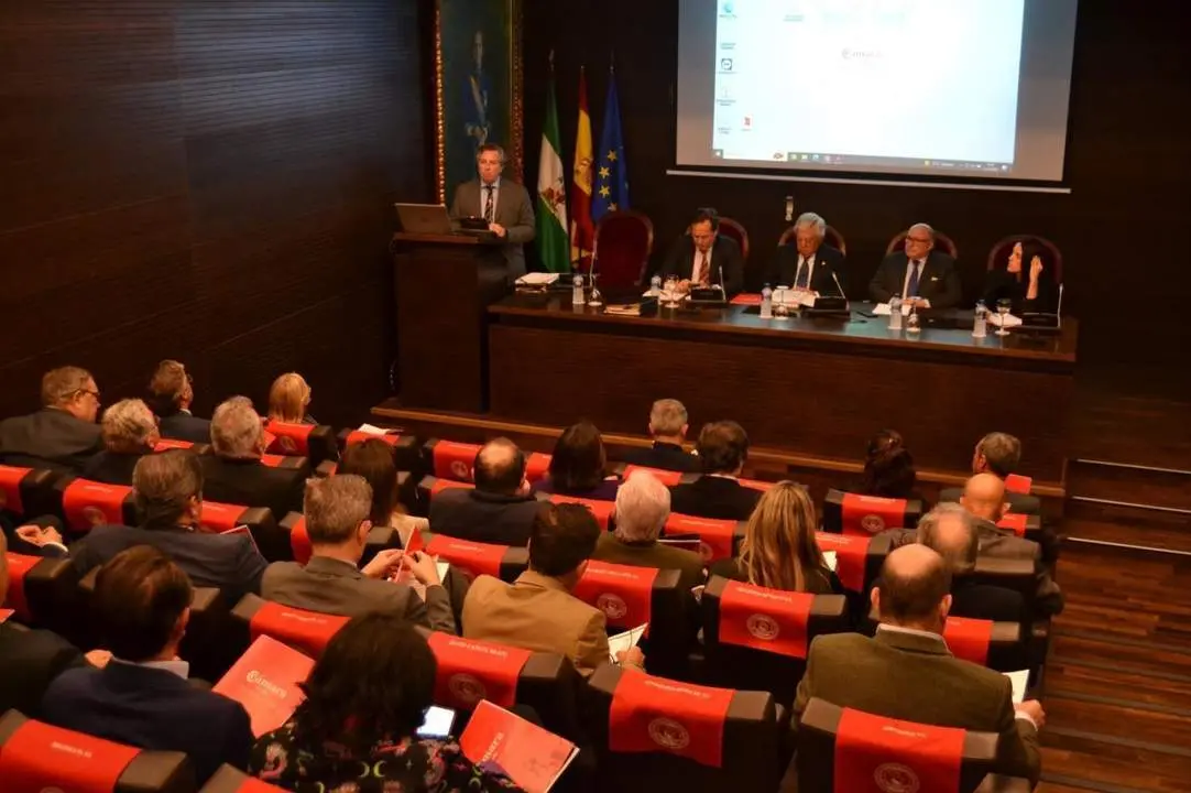 EL PLENO DE LA C&Aacute;MARA DE COMERCIO DE SEVILLA. - CES
