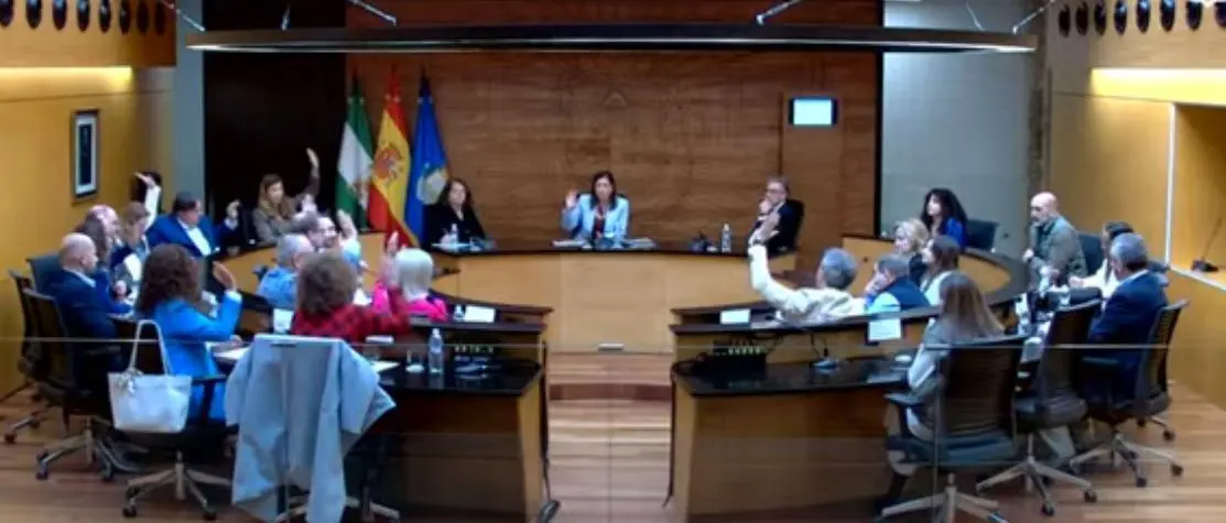 Momento en el que se vota a favor de la propuesta. - A.I.