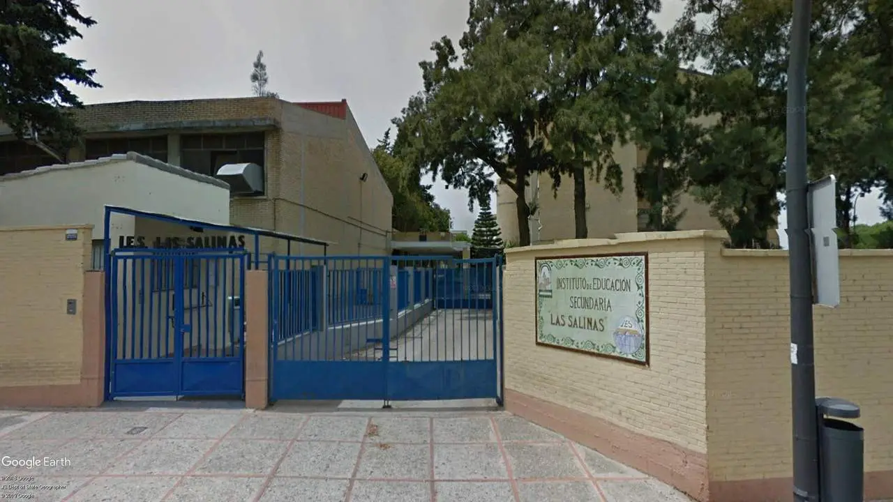 IES LAS SALINAS. - A.I.