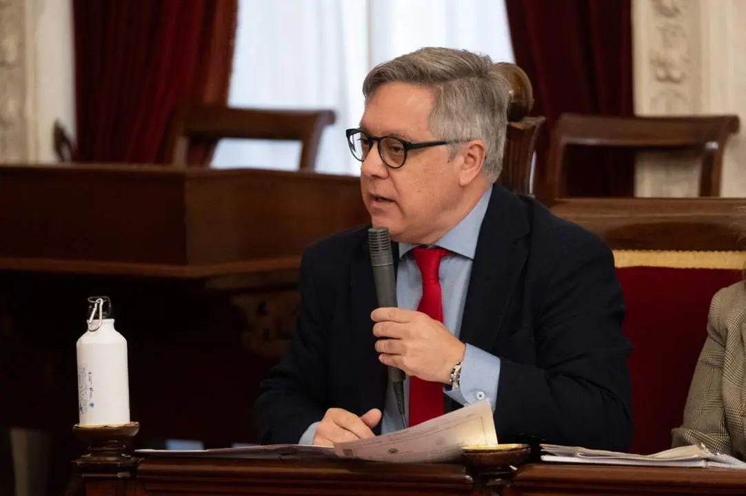 &Oacute;scar Torres. - PSOE