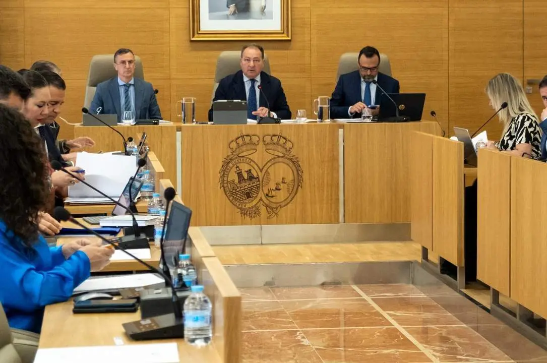 Pleno de la Diputaci&oacute;n de Huelva. - VH