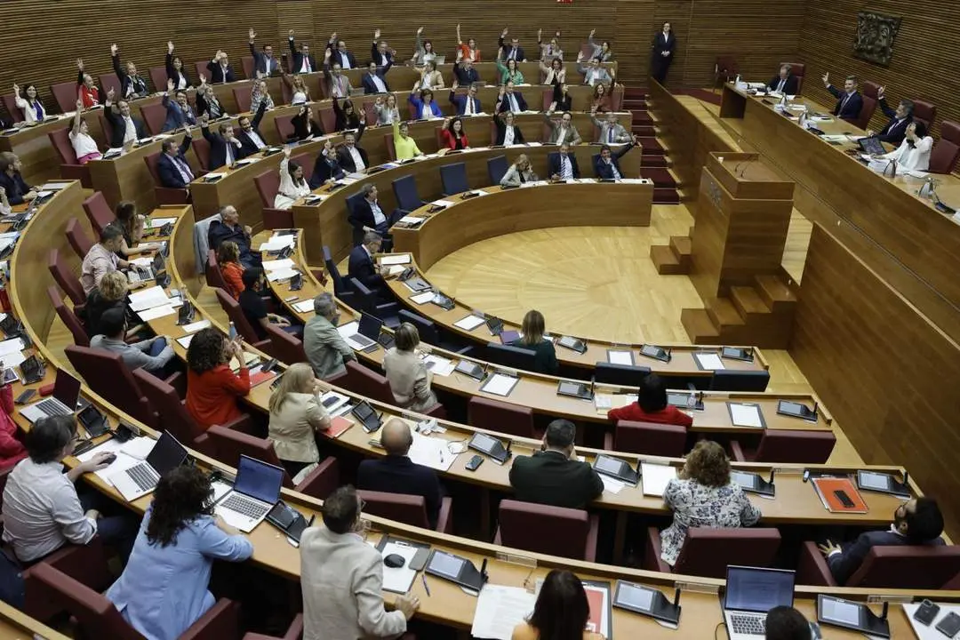 El pleno de Les Corts Valencianes - Kai Forsterling - EFE