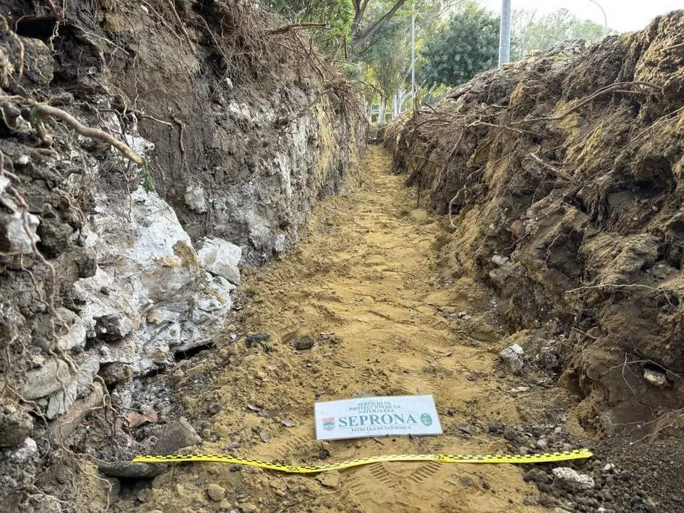 Yacimiento arqueol&oacute;gico Carteia de San Roque. - Guardia Civil