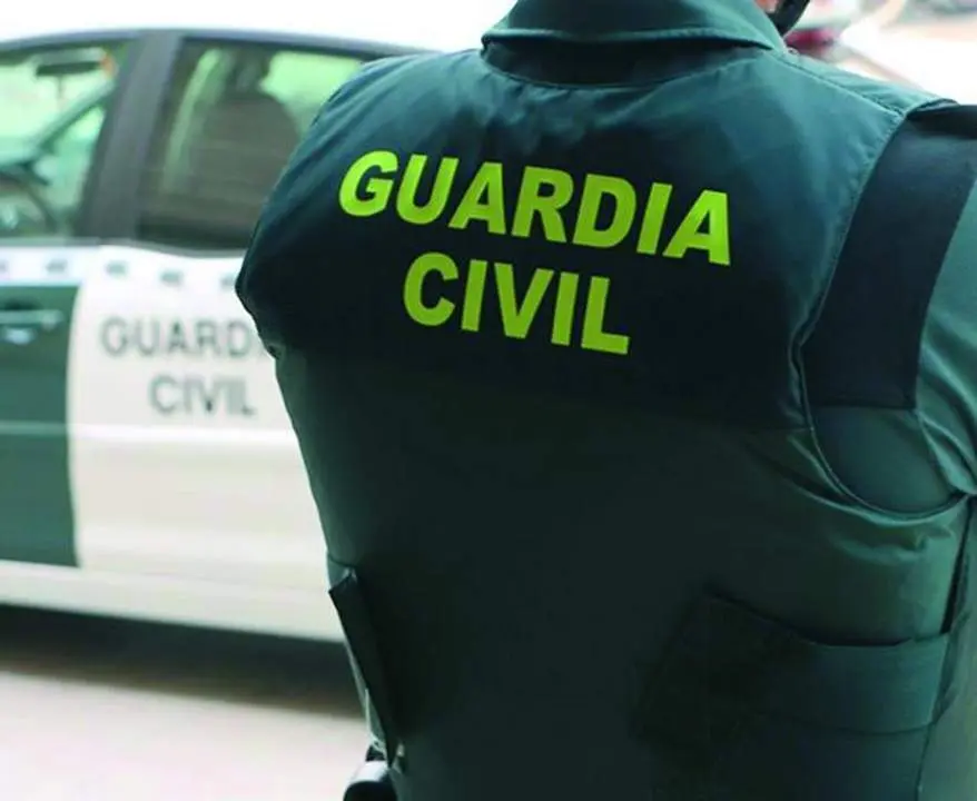La Guardia Civil practic&oacute; las detenciones hace unos d&iacute;as. - 