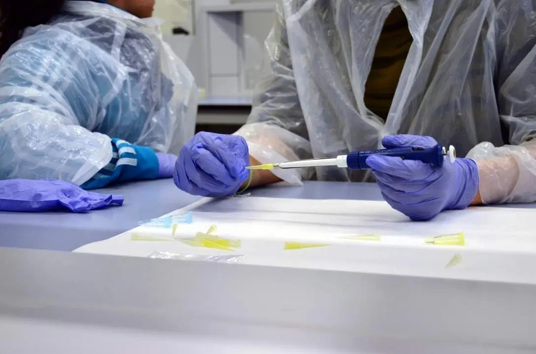 Laboratorios. - 