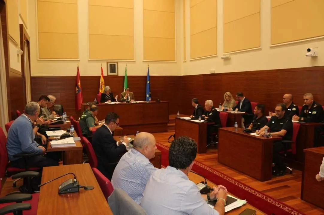 Imagen de la Junta de Seguridad, celebrada en el Sal&oacute;n de Plenos - VIVA