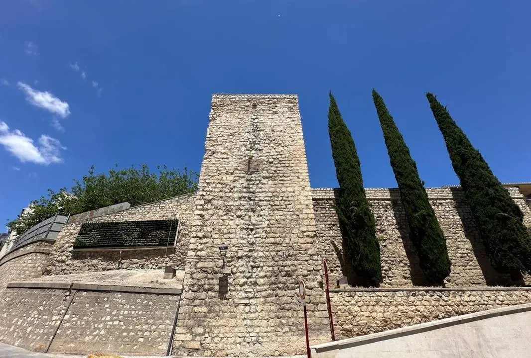 Jard&iacute;n vertical.  - PSOE de Ja&eacute;n