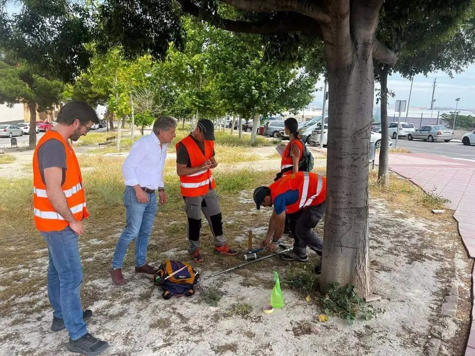Estudio realizado en parques y otras zonas de la capital.  - Ayuntamiento de Ja&eacute;n