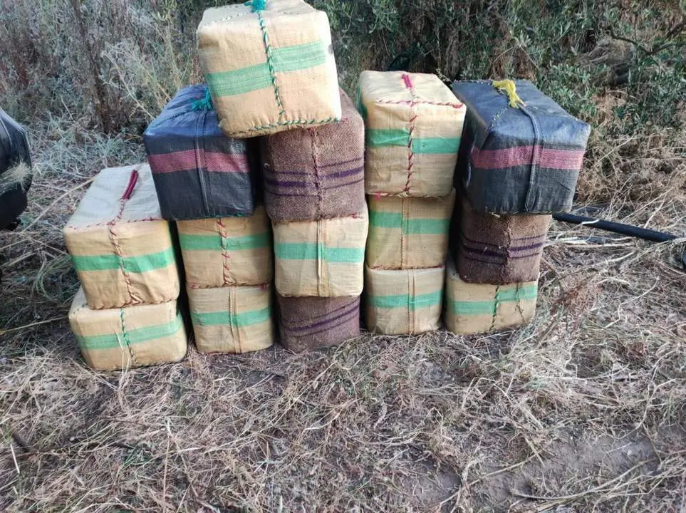 Imagen de la droga incautada.  - Guardia Civil
