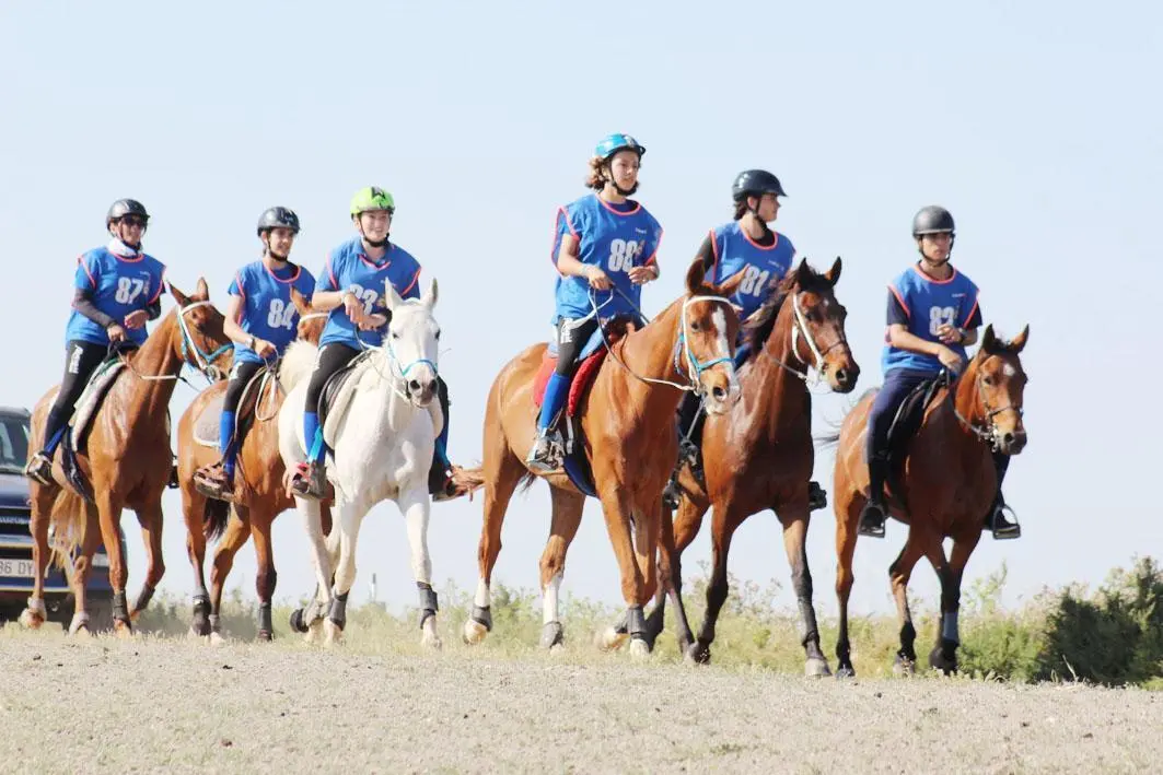 El mundo ecuestre, protagonista en Sanl&uacute;car - AMS