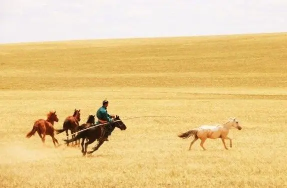 Jinetes y caballos. - EP