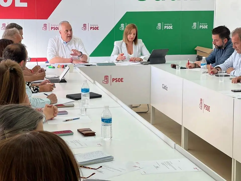 Ruiz Boix, en la Ejecutiva provincial del PSOE en C&aacute;diz. - VIVA