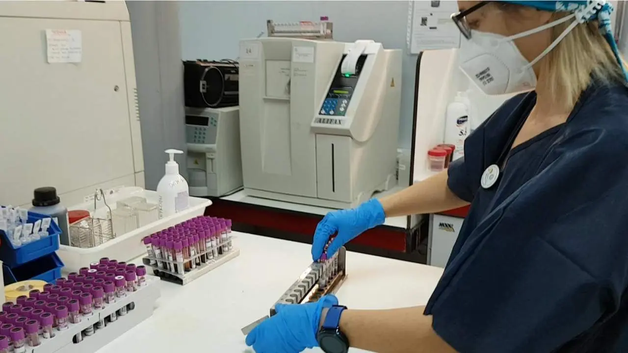 Trabajos en el laboratorio. - CSIF M&aacute;laga