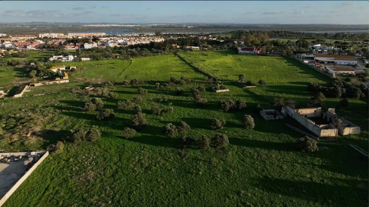La zona en la que ir&aacute;.el nuevo estadio de atletismo - A.I.