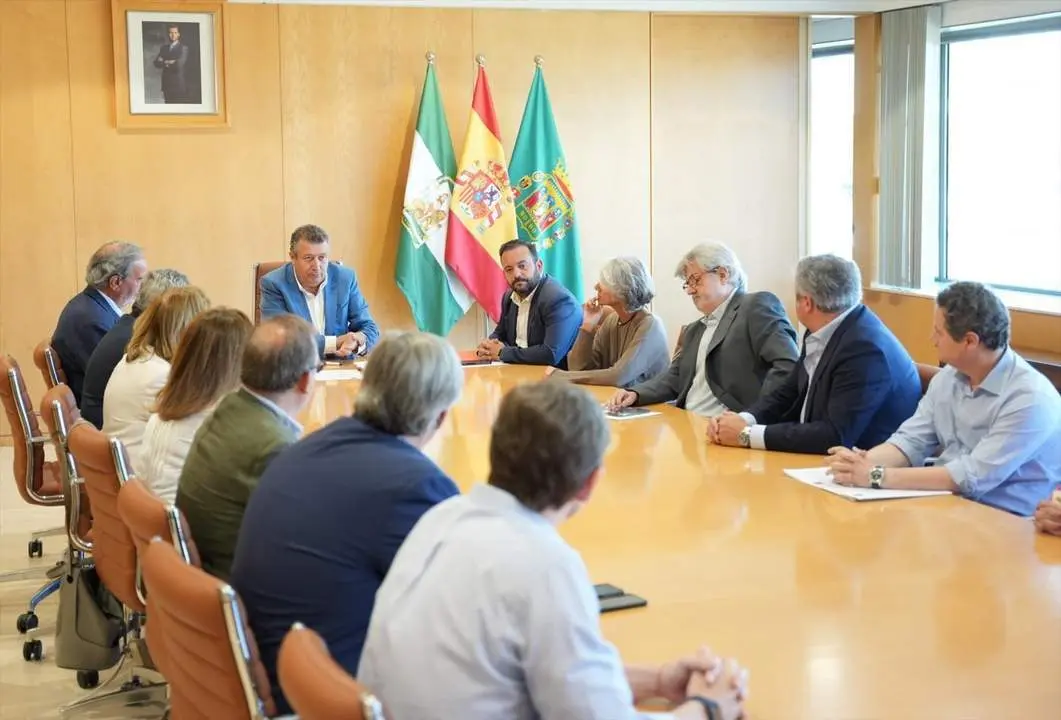 En la reuni&oacute;n. - Diputaci&oacute;n de Sevilla.